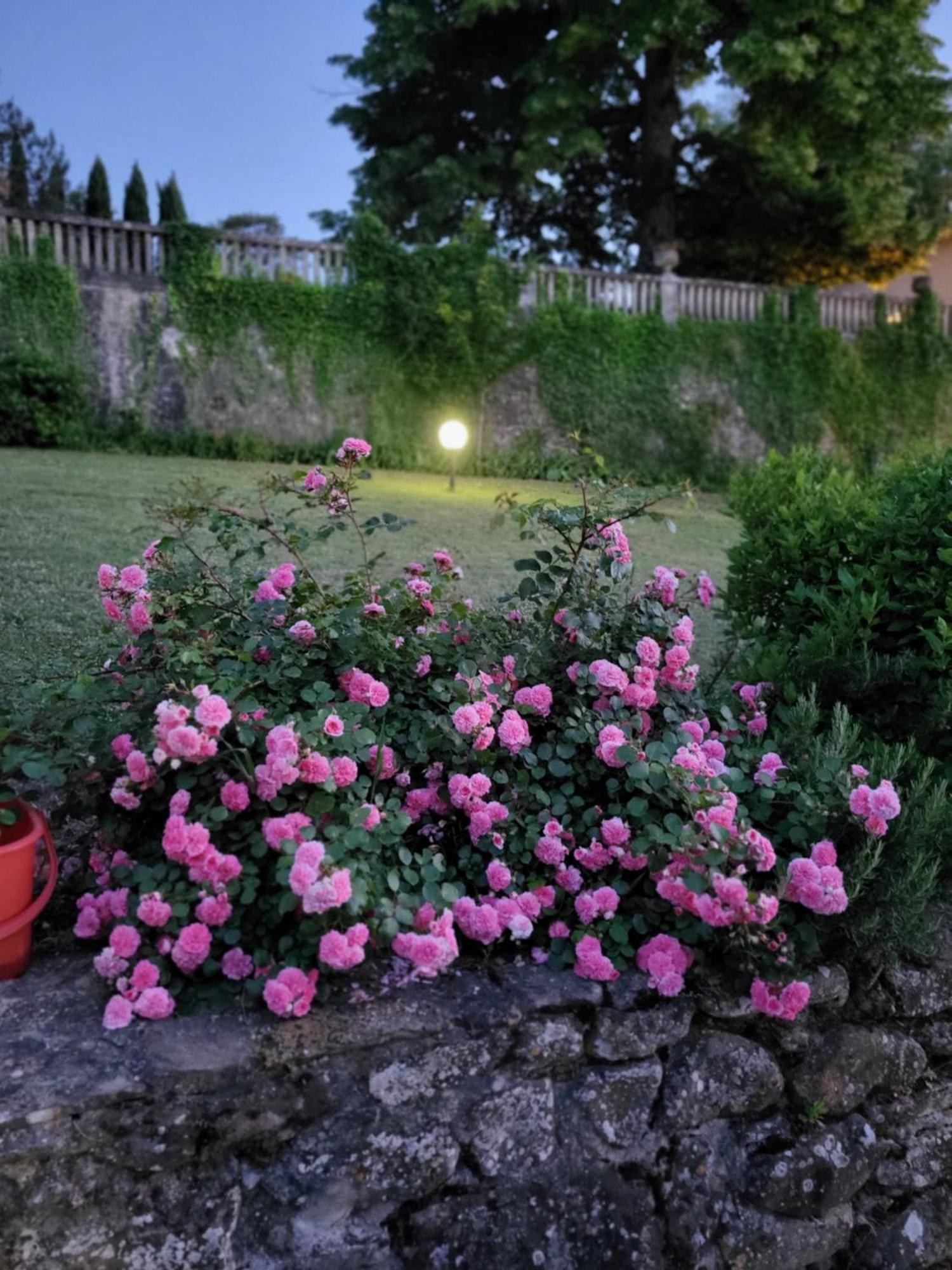 Villa Badia A Ruoti Εξωτερικό φωτογραφία